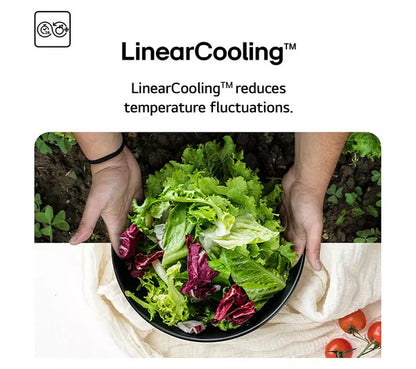 LG NatureFRESH GBV21L0EPY 60/40 Geladeira e Congelador